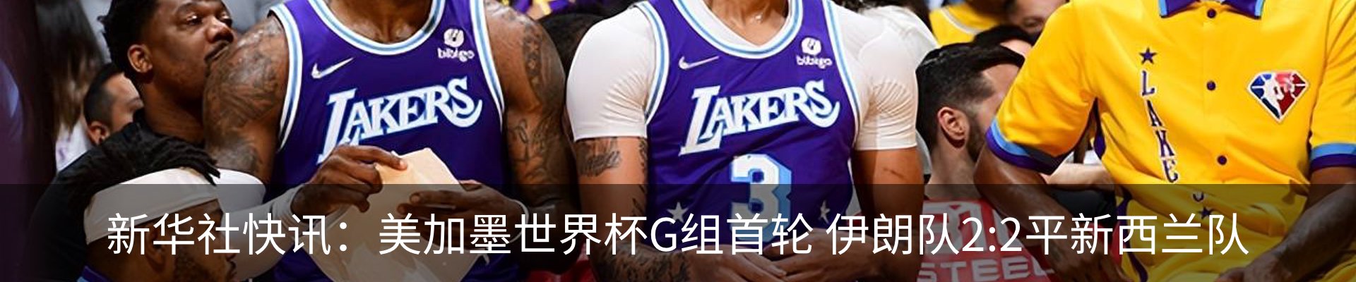 最新动态