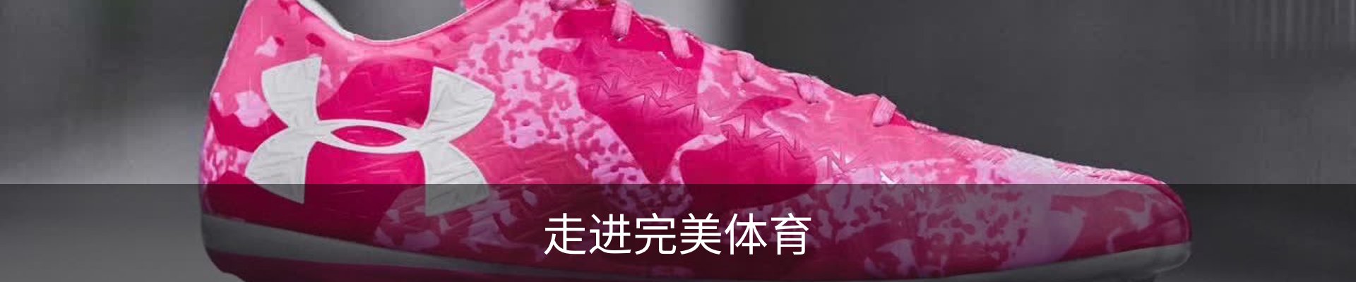 走进完美体育